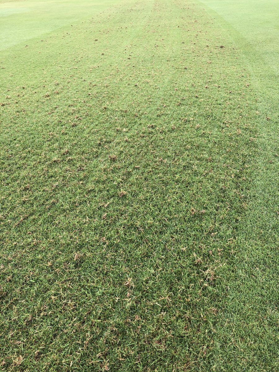 The University of Texas Sports Turf Department tweet media