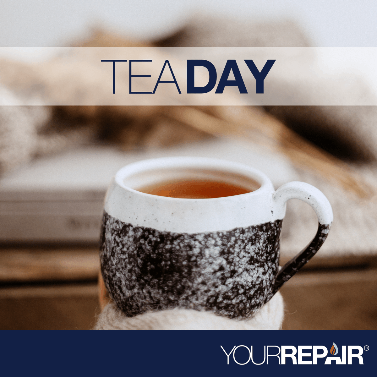 Happy Tea Day!
Did you know that the amount of tea Brits drink in a year would fill 50,000 swimming pools. If you laid those swimming pools back to back they'd stretch for 1,250km, which is roughly the same distance from London to Vienna 🤯☕