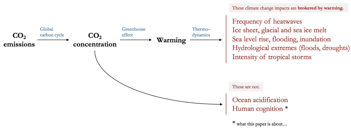 Most of the impacts of our unprecedented CO2 emissions are brokered by warming, but not all of 'em—think ocean acidification.Will higher CO2 have a direct impact on HUMANS?Paper tour, with  @ShellyMBoulder &  @AnnaSchapiro…
