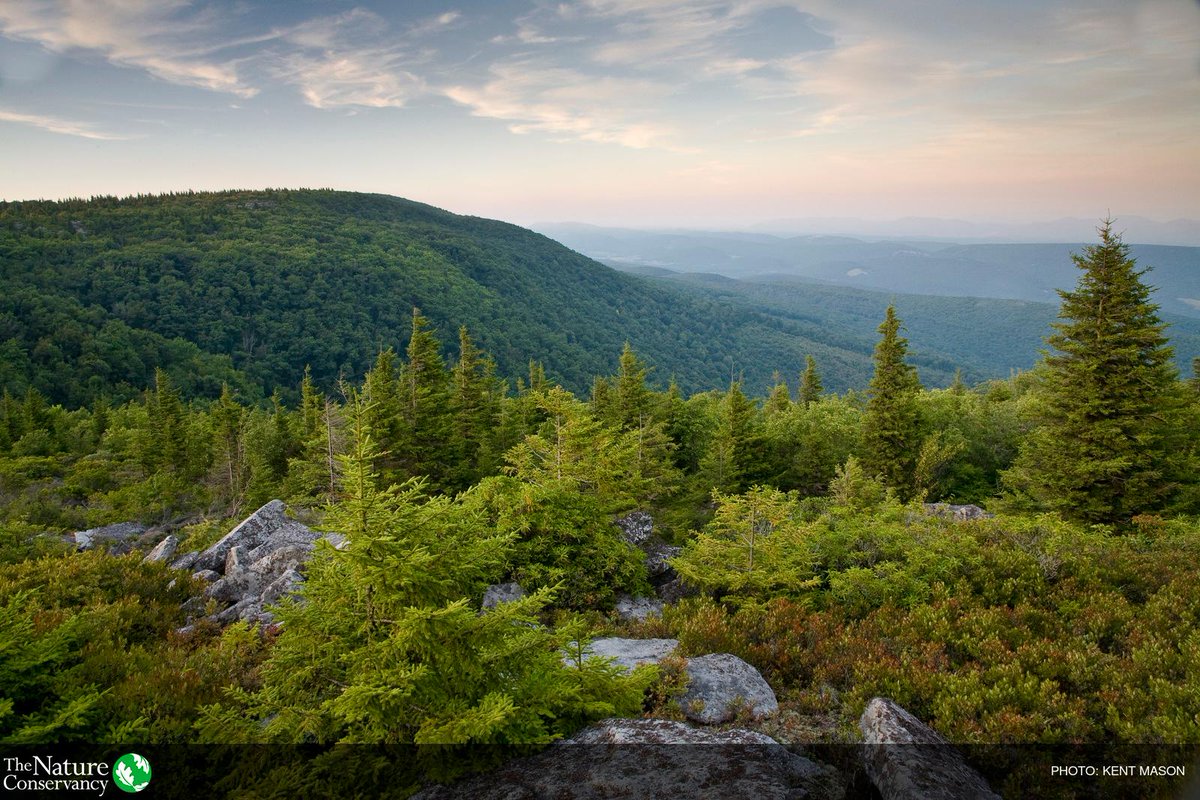Sally Jewell tweet media