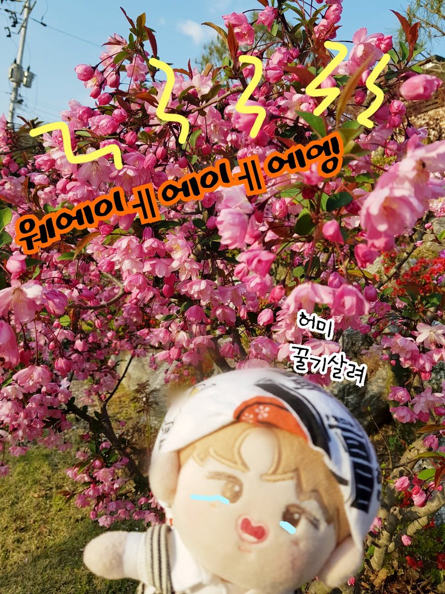 진짜 찍다 죽는줄 알았다..
🐝🐝🐝🐝🐝🐝🐝🐝Bzzzz....

#꿀기우니