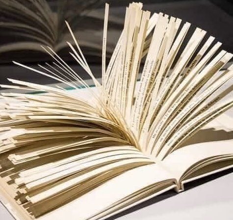 Existe um livro que ninguém pode terminar de ler em sua vida, e ele só tem 10 páginas.

Em 1960, o escritor francês Raymond Queneanu apresentou o que é provavelmente o livro mais longo do mundo. Trata-se de mil milhões de poemas de Cent mille, e mal ocupa dez páginas, cada uma +