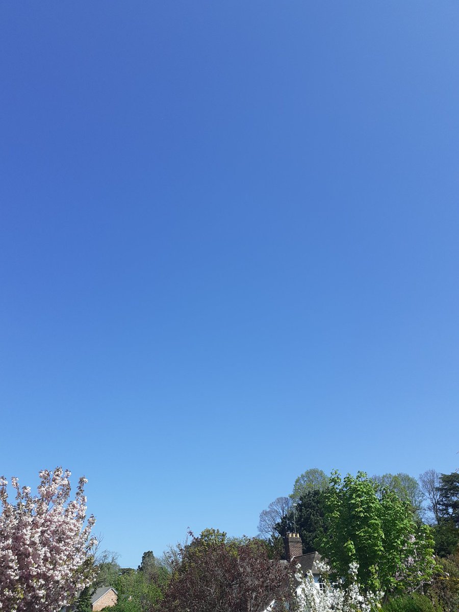 yes_hub's tweet photo. Amid the craziness, love my @ActiveCambria daily sessions, checking in with @colegcambria colleagues right here in the back garden! 12 - 1pm every lunchtime!! #FitForLearning @ActiveWales @sportwales @tesfenews @FENews https://t.co/snmdcYqSaj