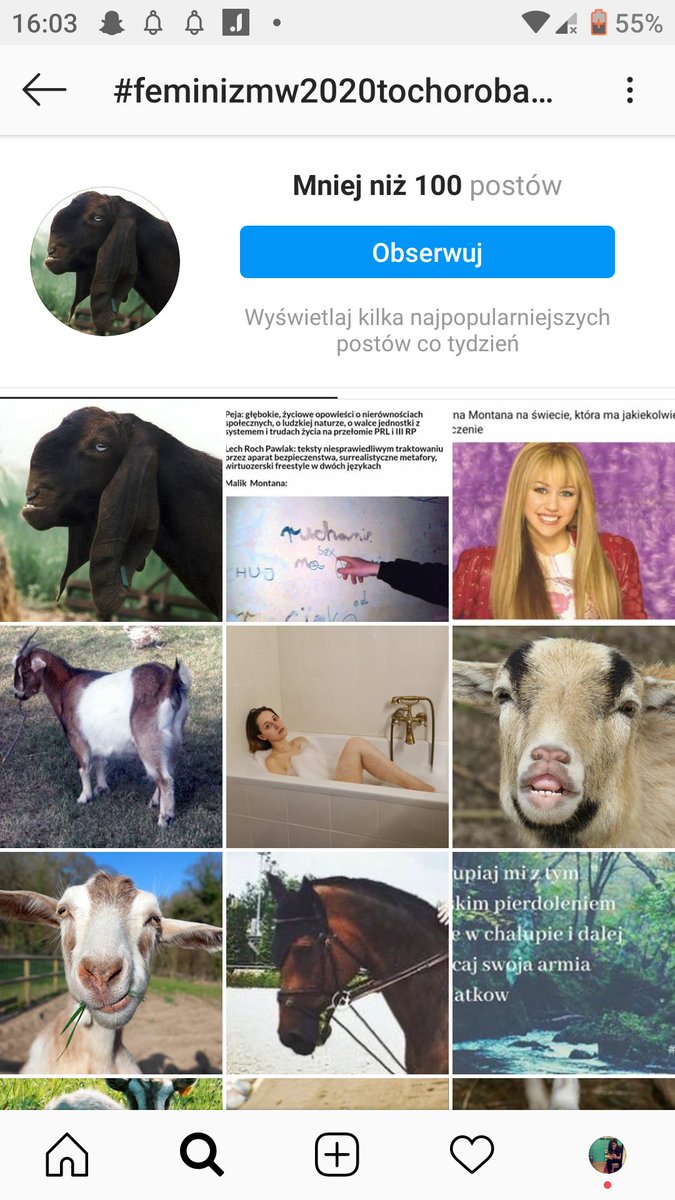 awillynilly's tweet photo. @tigredaisy Ale dlAczEGo KoZy? XD https://t.co/b01yKo7Sw0