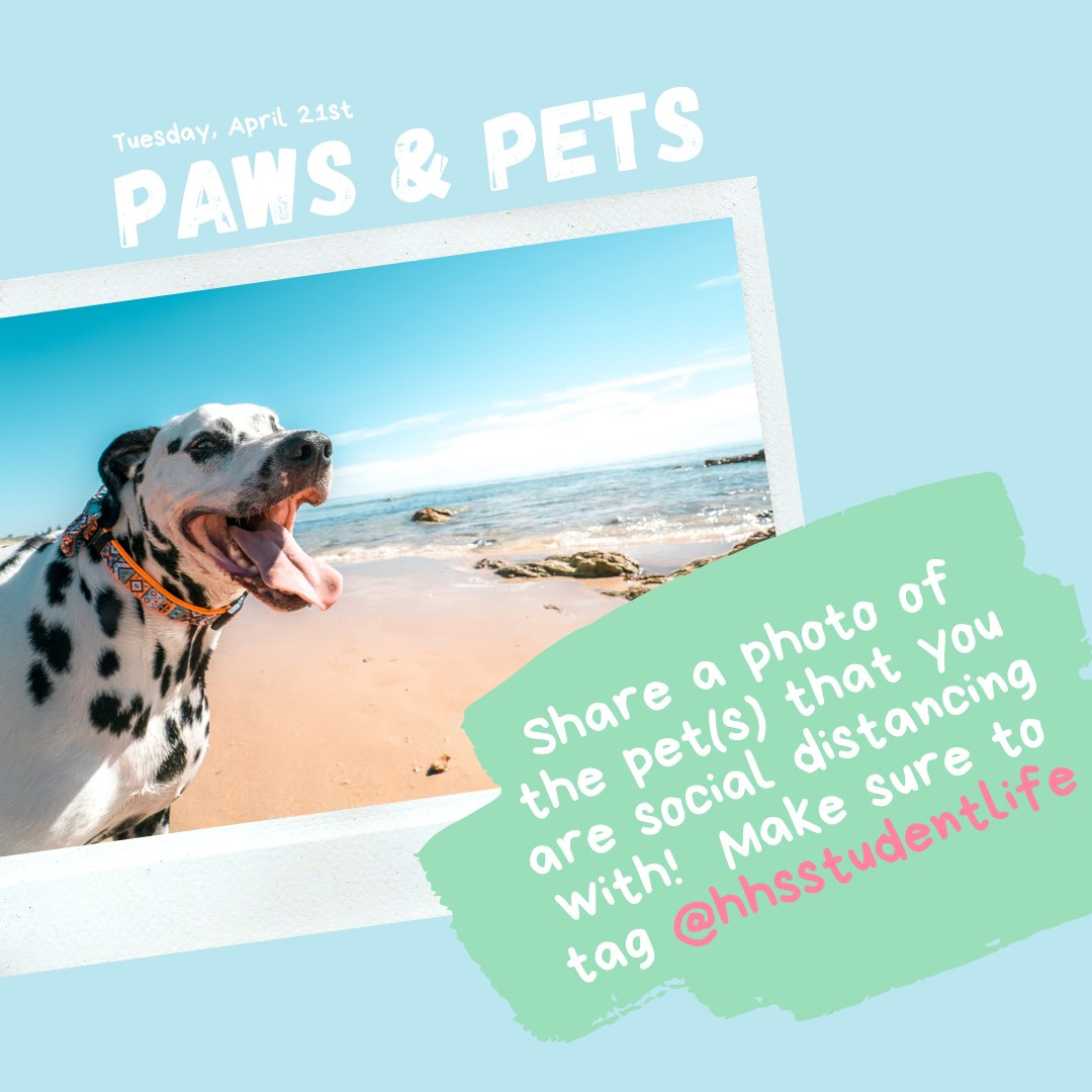 HHSStudentLife's tweet photo. PAWS &amp; PETS // HHS SPIRIT WEEK DAY 2 - Post a picture with your pet and tag us @hhsstudentlife  #HHSSpiritWeek https://t.co/v72AoGXvX5