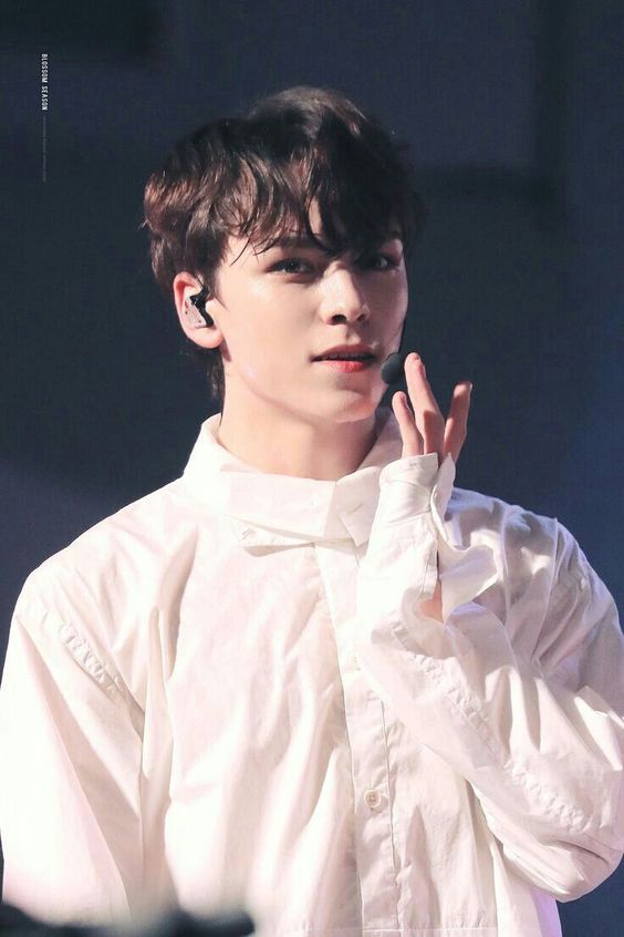 ✧ vernon ㅡ kefi. ( n. ) the spirit of joy and enthusiasm, in which good times and passion for life are expressed with abundance of excitement and happiness.