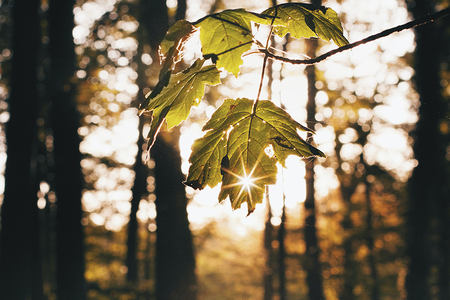 'These are difficult times, and it is okay to feel stressed.' Dr. Susan Abbey, @UHN's Psychiatrist-in-Chief for Mental Health, shares some ideas of how to cope in these times of uncertainty and physical distancing. Read more → bit.ly/3bqvcSt