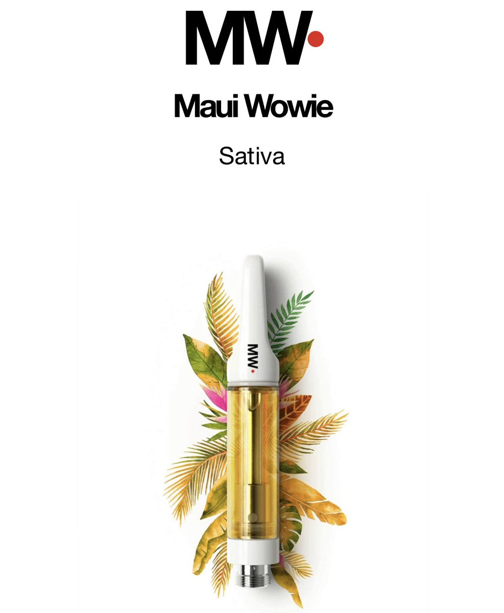 Bloombrand.th tweet media