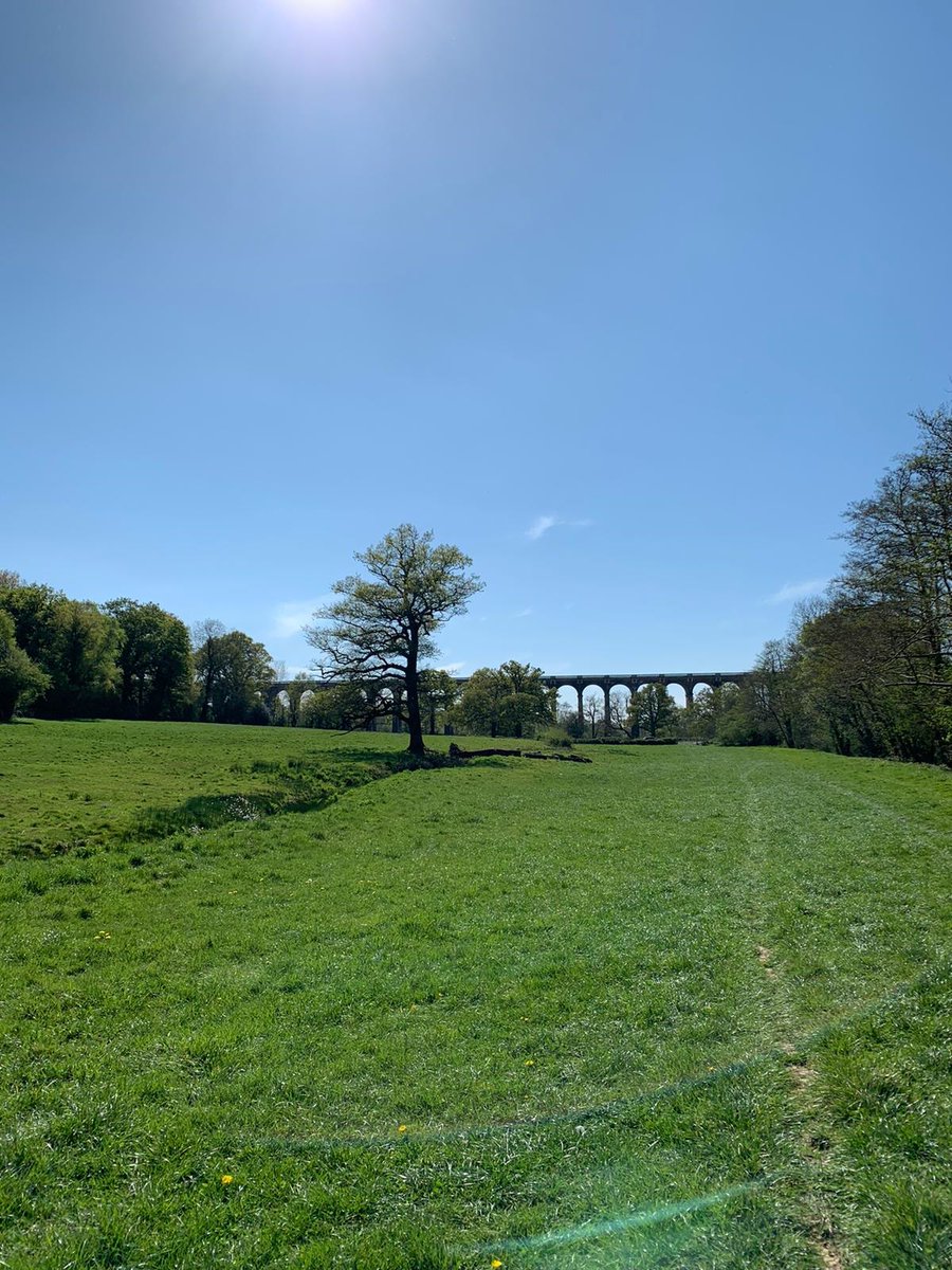 Geoinvestigate's tweet image. "Probably the most elegant viaduct in Britain" Todays #geotechnical #deskstudy #siteinvestigation takes #Geoinvestigates #engineeringgeologist past the #Ouse #Railway Viaduct near #HaywardHeath in #Sussex. 450m long x 29m high x 37 arches x 11 million bricks. Completed c.1840.