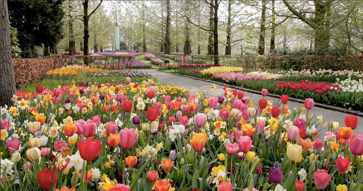 Bekijk nu een nieuwe video van ons prachtige park! 🌷 youtube.com/watch?v=JfAOhZ…