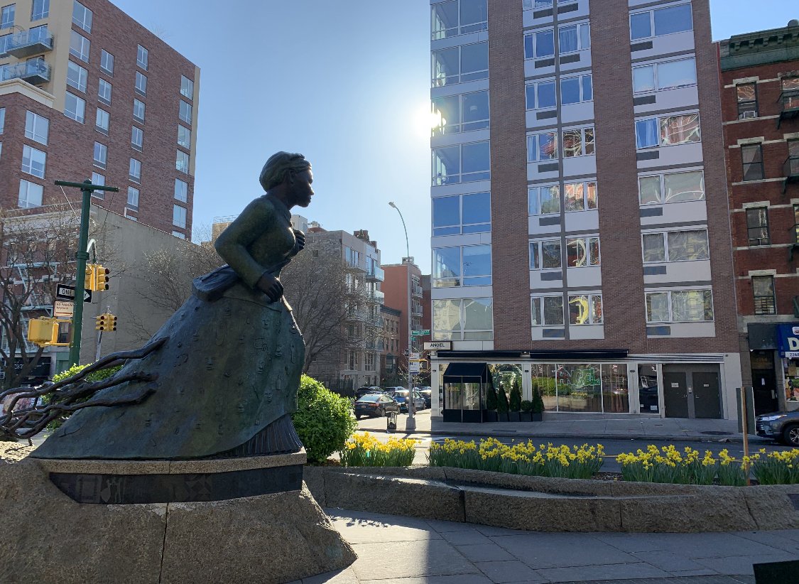 Daffodils Abound at the Harriett Tubman Memorial - eepurl.com/g0DdeT