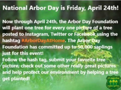 FFS_Waccasassa's tweet photo. National Arbor Day is this Friday and you can help plant a tree with a simple click! Check out below and help the planet grow! #ArborDayAtHome #ArborDay #FloridaForestService https://t.co/kF4OOiHqbD