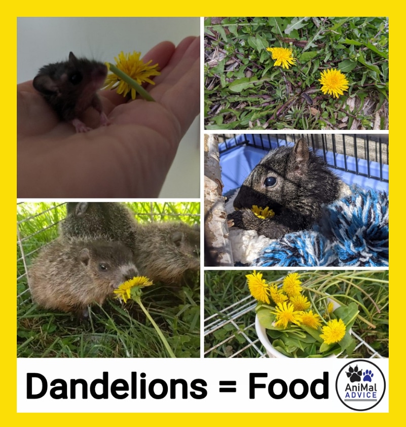 Mallory Gemus tweet media