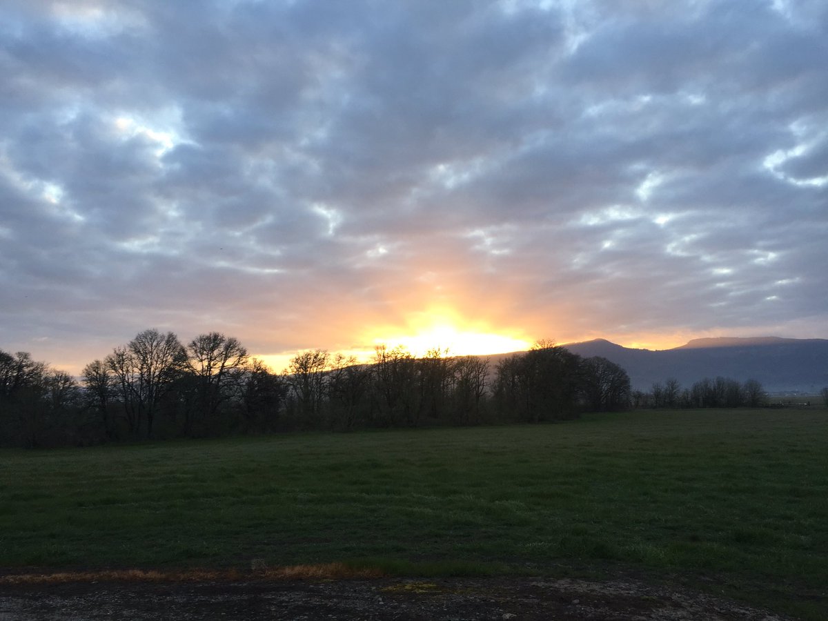 kb_seed's tweet photo. As #EarthDay approaches, did you know a 5’ x  5’ area of grass produces enough oxygen for one person to breath for 1 year! #CoverCrops #AgChat #Ryegrass https://t.co/xa0khyt2UE