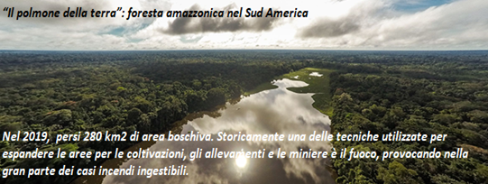 eco_pills's tweet photo. Ogni anno perdiamo 13milioni di ettari di foresta. Gli effetti del disboscamento? Si emette #gasserra contribuendo al #cambiamentoclimatico, si danneggia la biodiversità locale, si rende il territorio più vulnerabile alle #catastrofinaturali. ➡️https://t.co/djHPRmeTiV https://t.co/6MyClREkIP