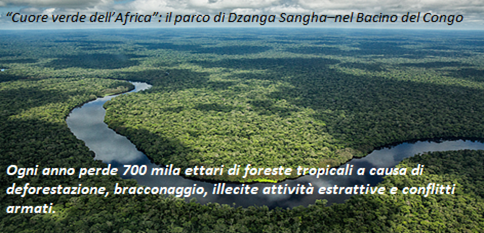eco_pills's tweet photo. Ogni anno perdiamo 13milioni di ettari di foresta. Gli effetti del disboscamento? Si emette #gasserra contribuendo al #cambiamentoclimatico, si danneggia la biodiversità locale, si rende il territorio più vulnerabile alle #catastrofinaturali. ➡️https://t.co/djHPRmeTiV https://t.co/6MyClREkIP
