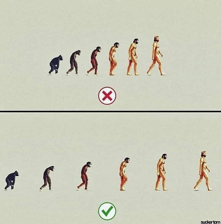 Ly Duy Ky tweet media