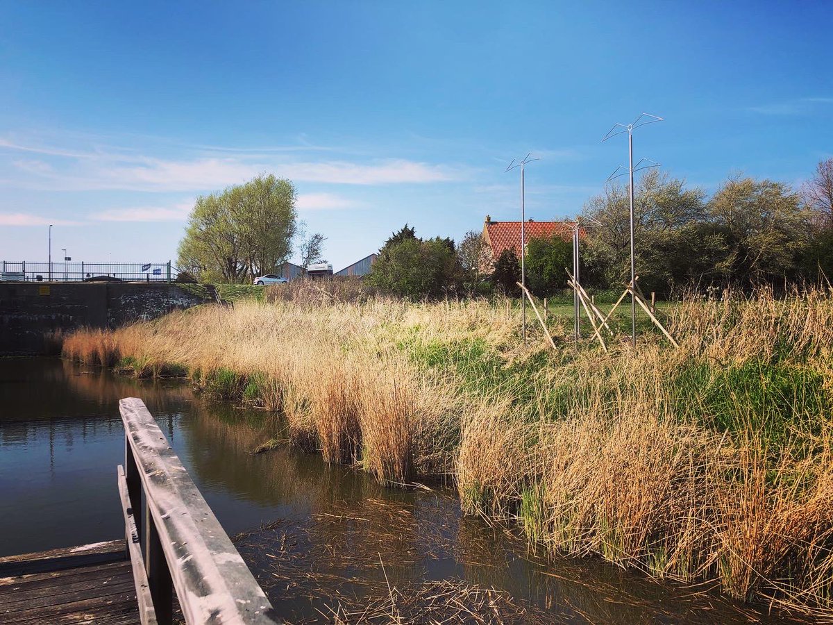 De eerste twee kunstwerken langs de vaarroute Amstelmeer - IJsselmeer zijn geplaatst! Het gaat om de kunstwerken Zeilboot en Zilvermeeuwen van kunstenares Cobi Dierikx. 
Totaal worden er zes kunstwerken op de route geplaatst; naar verwachting staan die in de zomer langs de route.