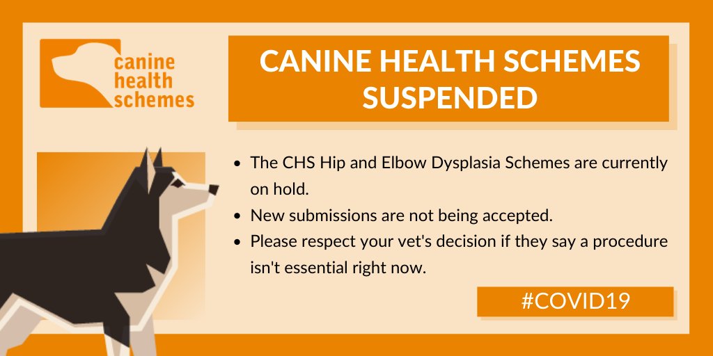 In-line with current government advice, screening for  #CanineHealthSchemes is on hold and new submissions aren't being accepted. This includes the Hip & Elbow Dysplasia schemes and eye screening. We'll issue an update when the situation changes #COVID19 bva.co.uk/canine-health-…