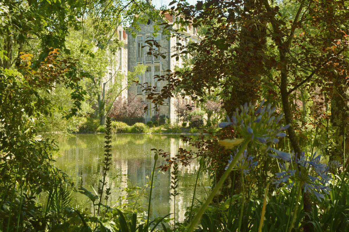 GoCaldas tweet media