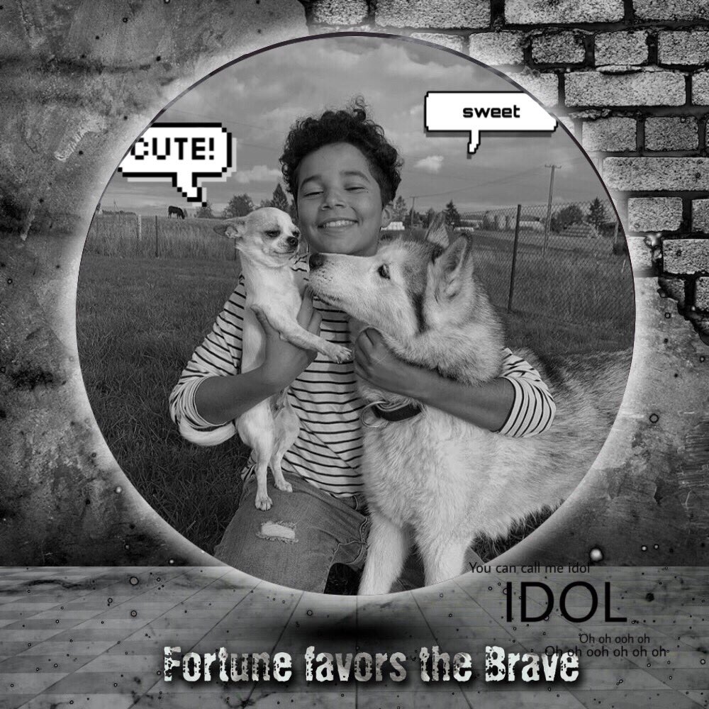 fanpage_DOM_X_edyts tweet media