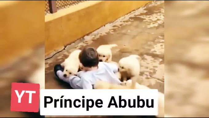 Oye, tienes que ver este video antes de morir❤️#Likee #HelloLikee  #LIKEEapp https://t.co/pevxJsyGsF<a href="/tag/likee"class="tags">&#35;Likee</a><a href="/tag/likeeapp"class="tags"><span>&#35;likeeapp</span></a><a href="/tag/hellolikee"class="tags"><span>&#35;hellolikee</span></a>