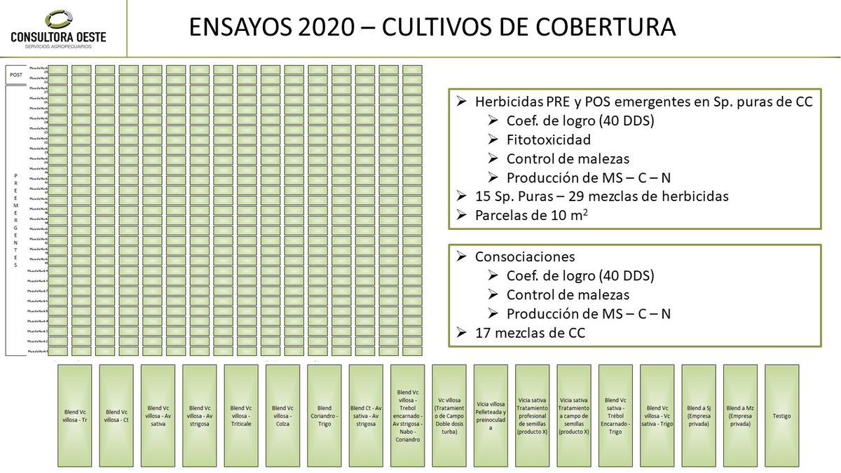 Consultora Oeste tweet media
