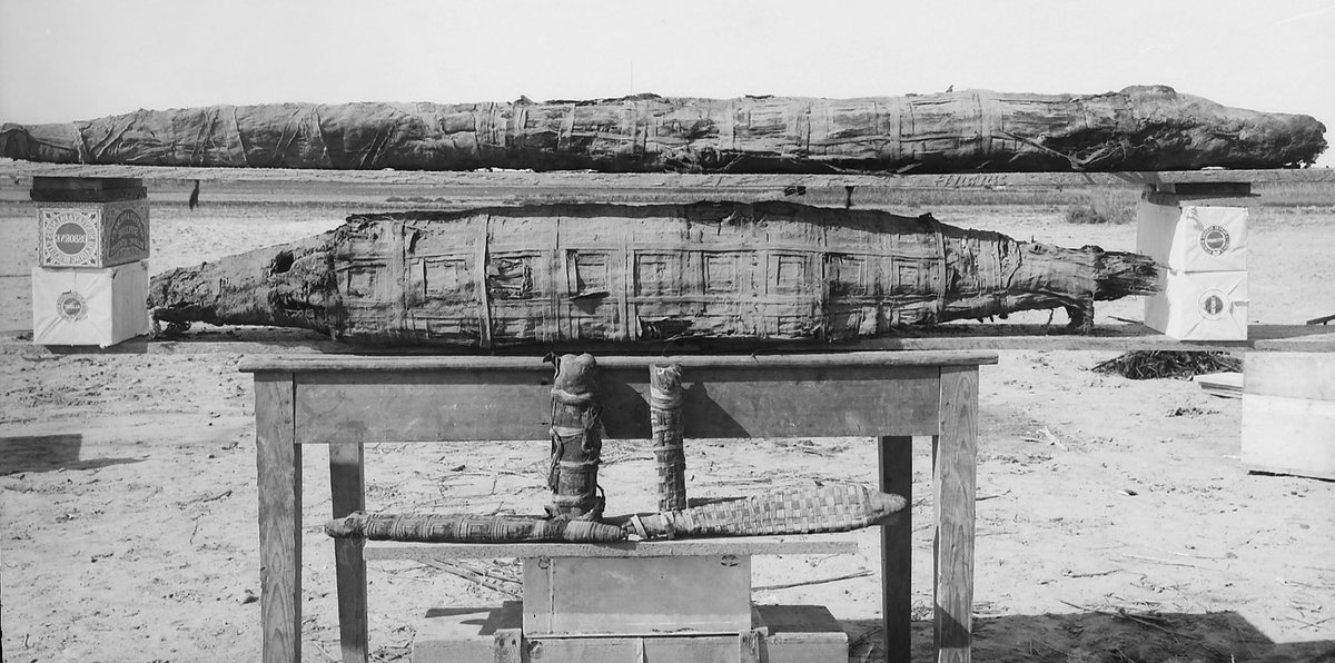 TheEES's tweet photo. Enjoying our online events so far? 

@Steph_Boonstra will be delivering our next lecture all about the Graeco-Roman Branch of @TheEES, including their survey of sites in the Faiyum - which is probably where these crocodile mummies were photographed. 

https://t.co/wTAcNIPojR https://t.co/0nGsYBZpV6