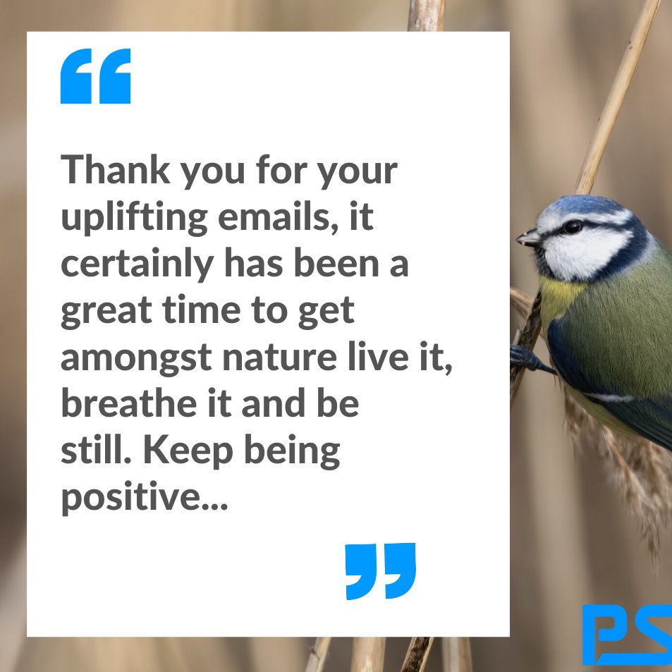 Every week, without fail, we send out an email to our clients. Sometimes we discuss what we're up to or what is happening in our world of ice...sometimes it’s just a quick hello to stay in touch. Last week we had such a lovely reply we just had to share with you - it made our day