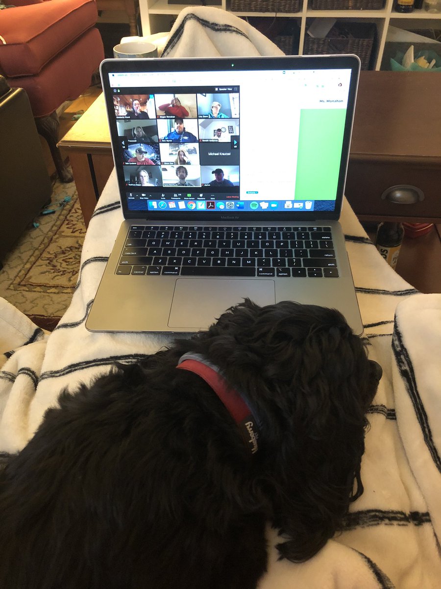 Rey wanted to join in on today’s faculty meeting. Good thing I’m muted though -she’s snoring a bit 😴#gvfeeling #gvlearns #gvstrong