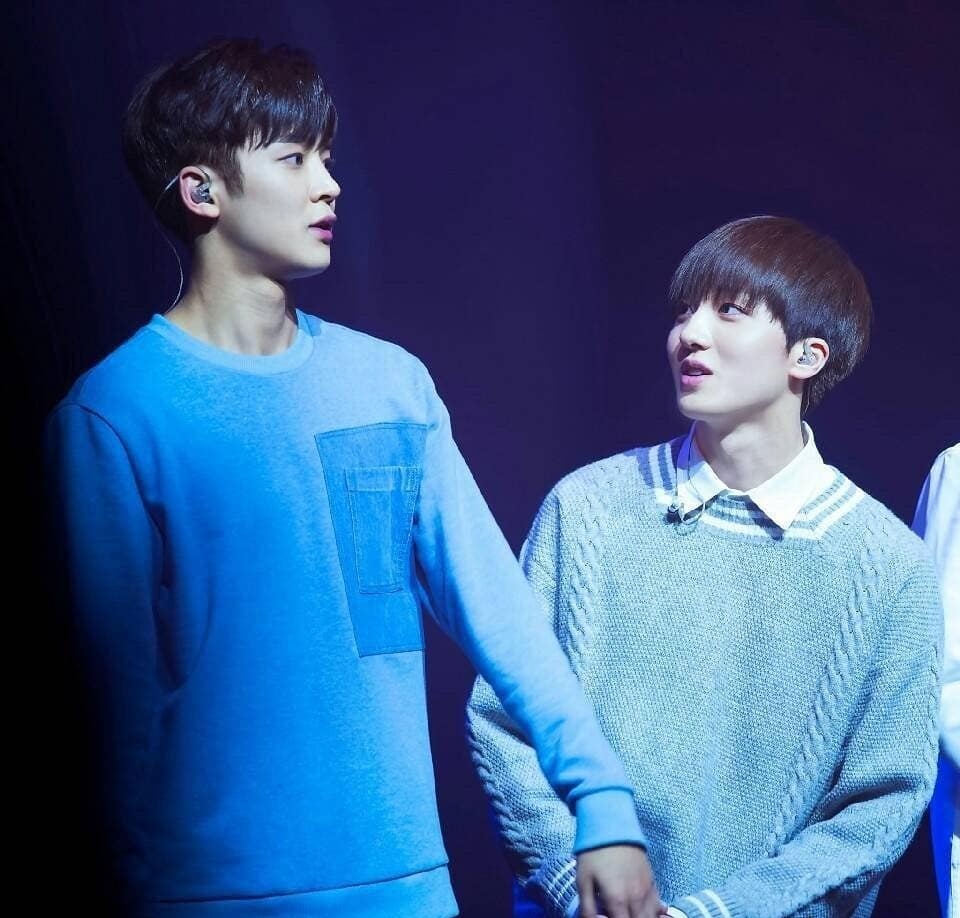 Chani ACTUALLY being flipped for Rowoon, a thread so soft my heart aches