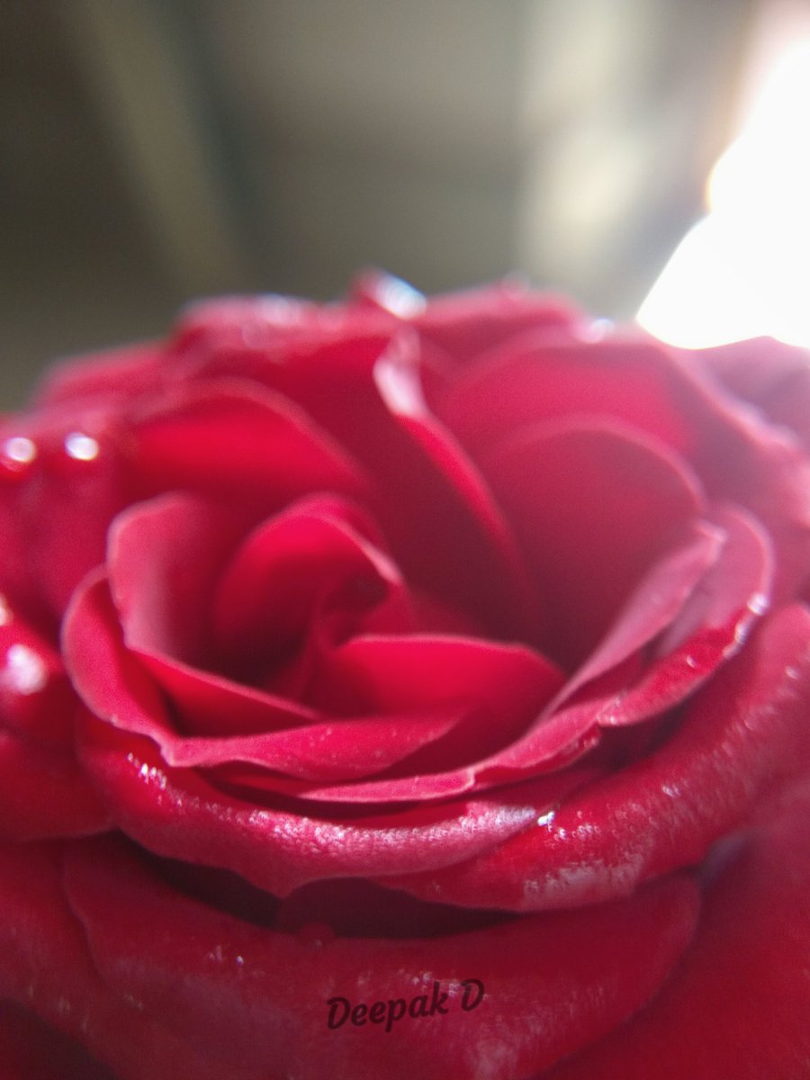 d_deepak_'s tweet photo. @LavaMobile I'm passionate abt PHOTOGRAPHY & love NATURE PHOTOGRAPHY where I have to go to lot of places to click beautiful pics. But ever since lock down I'm trying INDOOR & MACRO PHOTOGRAPHY and LOVING & LEARNING a new SKILL which I never tried before🙏😇
#RoutineInQuarantine
@LavaMobile https://t.co/ze07ecd87V