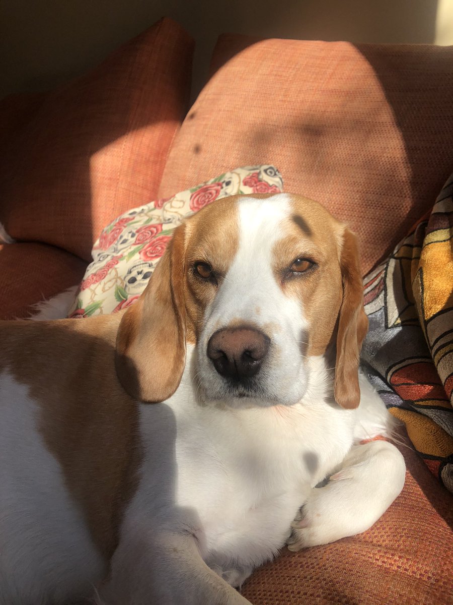 Just a lockdown look😎