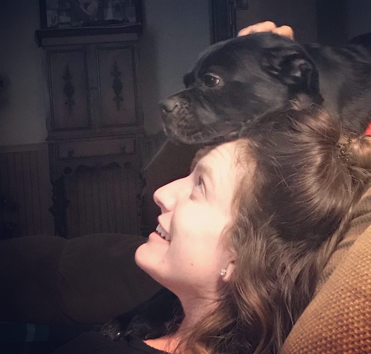 mrsstephens219's tweet image. Love my Benny boy with my whole heart. #BringYourPetToWorkDay #virtualspiritweek #keebleoneteam #AldineAtHome