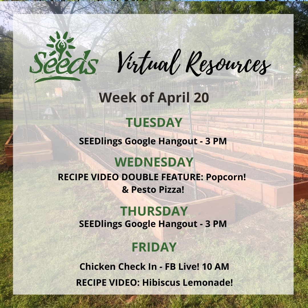 It's a new week and we are still digging into virtual programs at SEEDS and planning for the future of our programs as the virus continues in NC. Here's how you can engage with SEEDS this week! #seedsnc #seedsdurham
