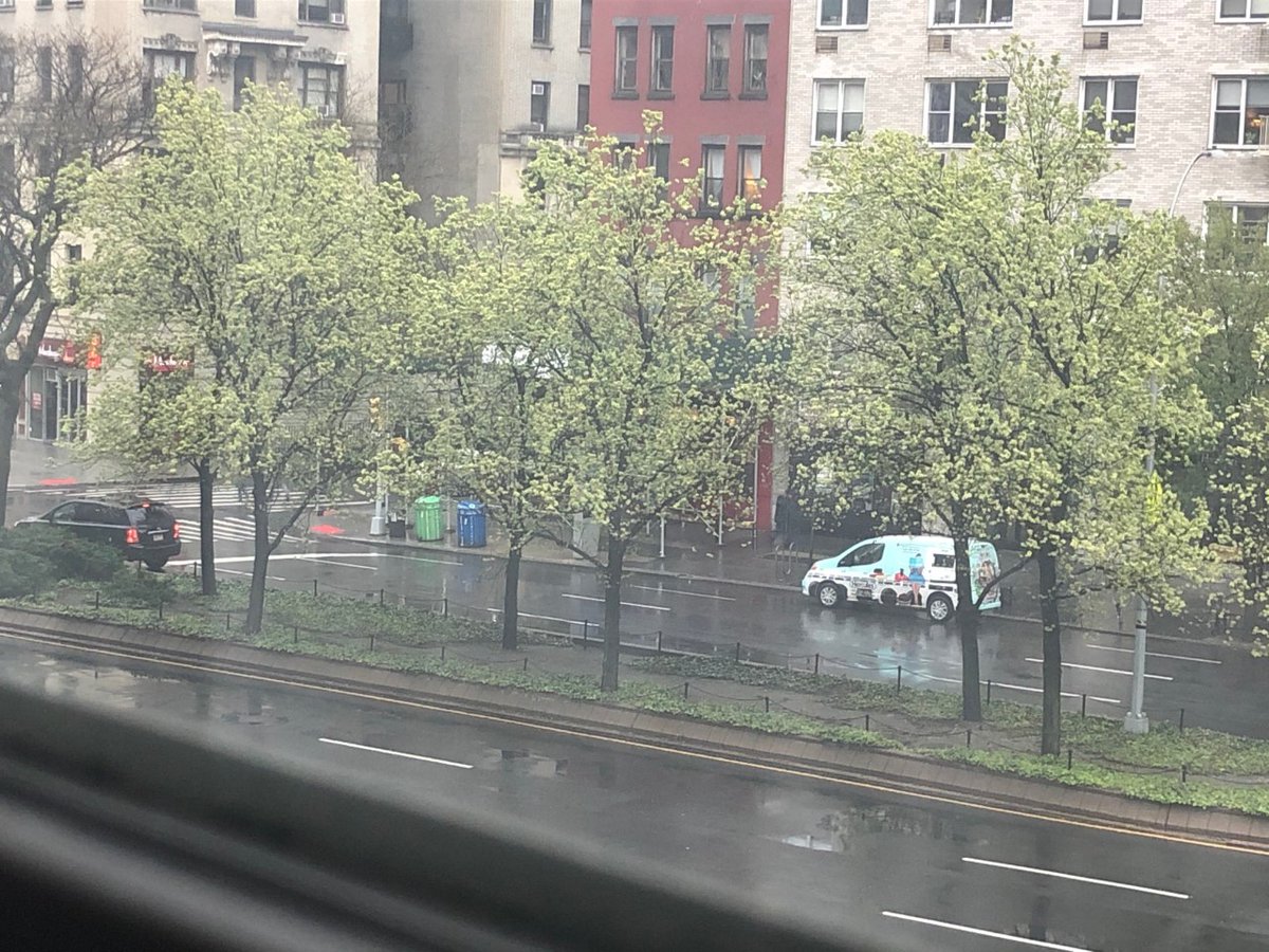 BrianLehrer's tweet photo. Are you seeing signs of spring? Even just out your window? For Earth Day, share your photos using #BLSEarthDay and tune in tomorrow when @nycbotanist joins us to talk about what's happening out there while we're in here: https://t.co/cObEQjNxka
