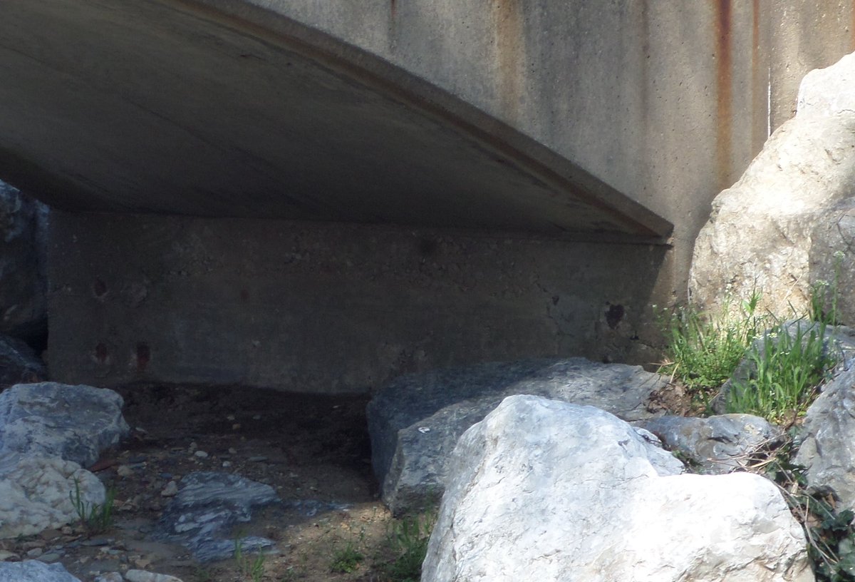 YCPactivities's tweet photo. 9. What part of campus is this? #LorasScavengerHunt https://t.co/Z3Rq4gQTQ9