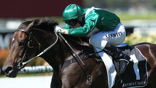 anz_news's tweet photo. Dual Group 1 winner #Samaready, dam of Magic Millions 2yo Classic winner #Exhilarates, is the latest high-profile wildcard addition to next month’s @inglis_sales Chairman’s Sale, having been listed by owners @VineryStud.
📸AAP https://t.co/00ngsfOq0v