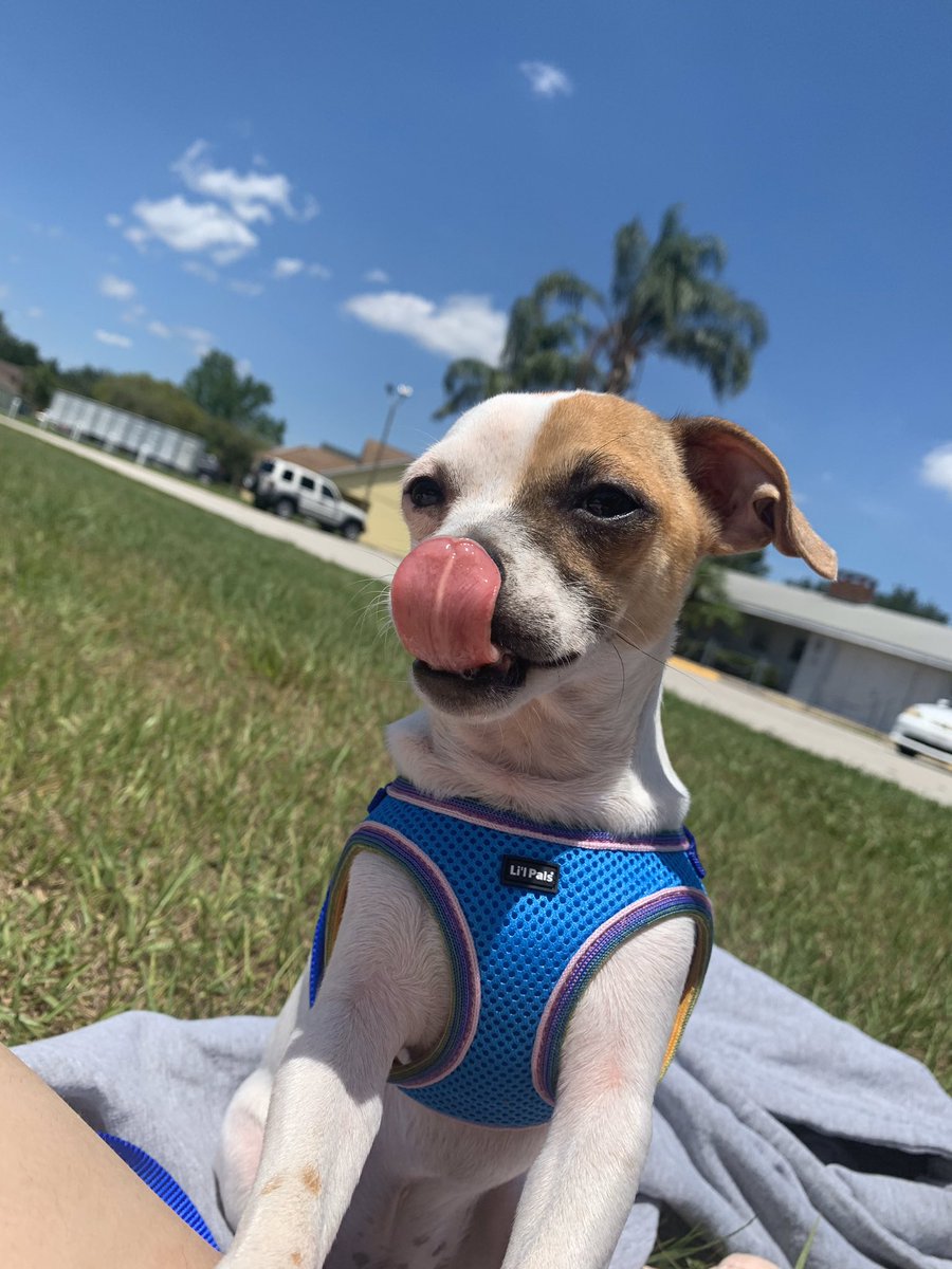 y’all meet peanut🥺🧡