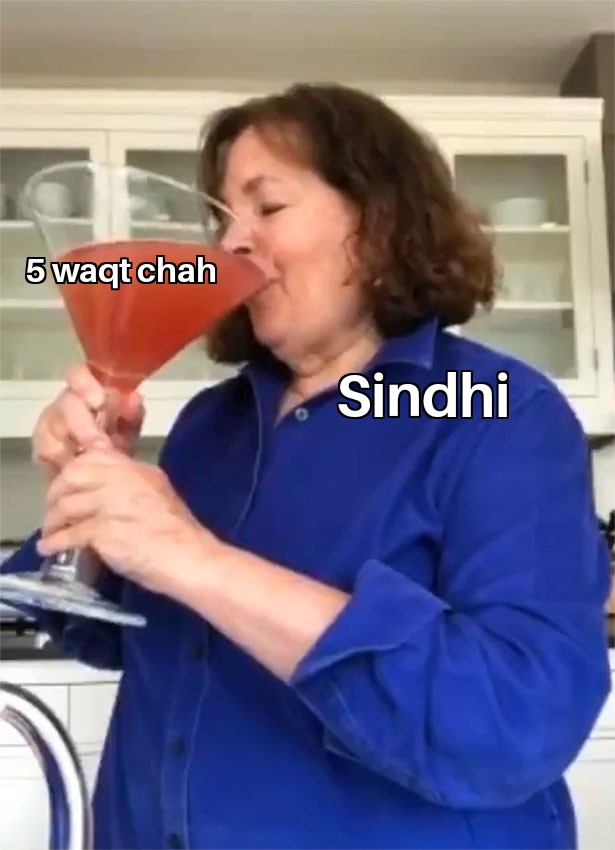 Some Sindhi memes as requested by my jaan  @H_Flx