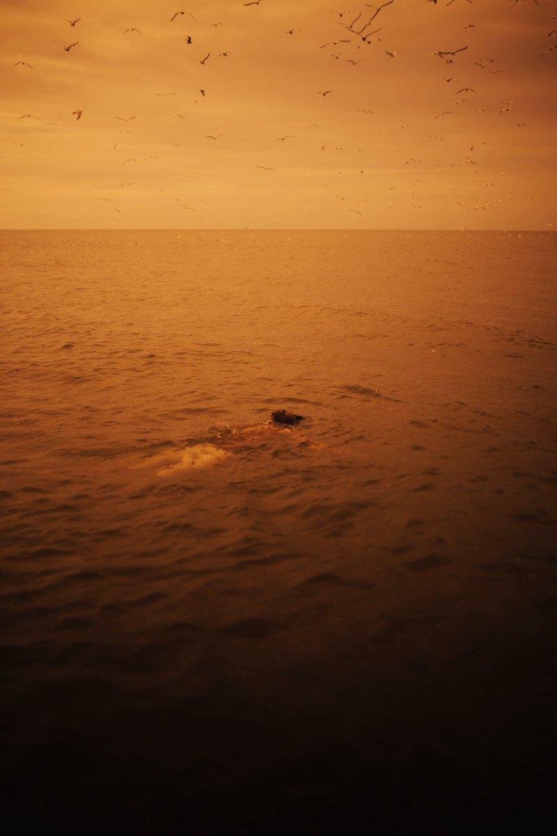 Simp Studios.™ tweet media