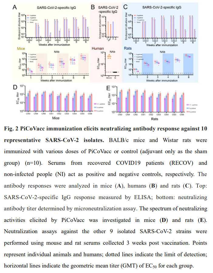  #COVID19 Promising study of a purified inactivated SARS-CoV-2 virus vaccine induced SARS-CoV-2-specific neutralizing antibodies in mice, rats and non-human primates.These antibodies potently neutralized 10 representative SARS-CoV-2 strains.Pre-print:  https://www.biorxiv.org/content/10.1101/2020.04.17.046375v1