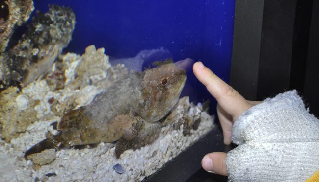 Tornare a viaggiare dopo il Coronavirus non sarà facile ma una cosa è certa: dovremo ripartire dall'Italia.
Da qui nasce una nuova serie di articoli, che vi porteranno alla riscoperta dell'Italia, ecco il primo:girovagandoioete.it/viaggiare-dopo…