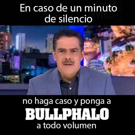 Bullphalo tweet media