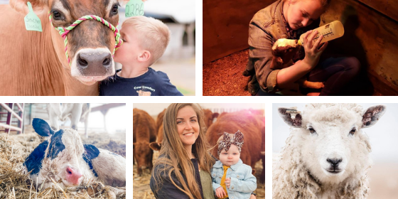 animalag's tweet photo. Congrats to our photo contest winners! 🎉 #PrimedAndPrepared

🐮 Jenna Fletcher, Tipping T Bar Ranch @WiscowsinGal 
🐄 Becca Hilby, Hilby Family Farms @beccahilby 
🐑 Marisa See, Countryview Family Farm
🐴 Hannah Canon, Hannah Noel Photography
🐖 Heather Watson, The Murray Farm https://t.co/JlEYlNJCEF