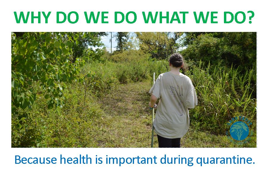 LandTrustMS tweet media