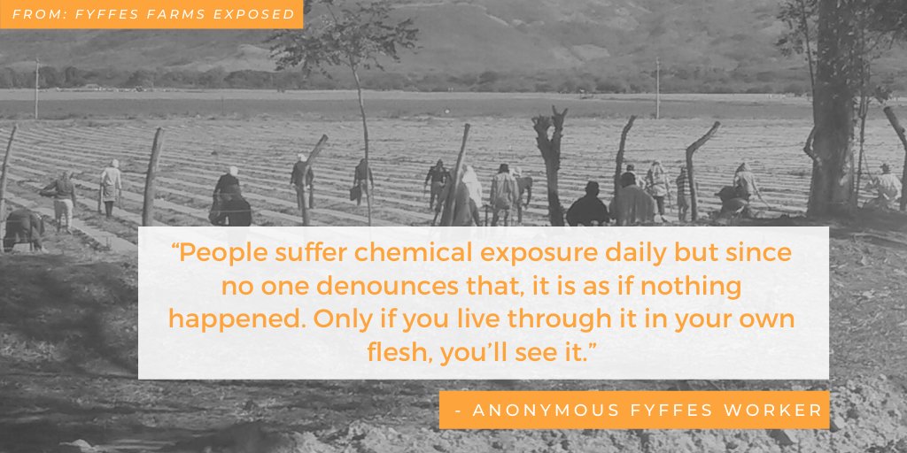 michael_galant's tweet photo. What's the real cost of your grocery store produce? If it's from @FyffesIrl: wage theft, chemical burns, heat stroke, union-busting, & more
New report from @ILRF @fairworldprj @Rel_UITA exposes human rights abuses on Fyffes farms in Honduras https://t.co/sU7vsfShdj #FyffesFails https://t.co/Z2dugS3C2j