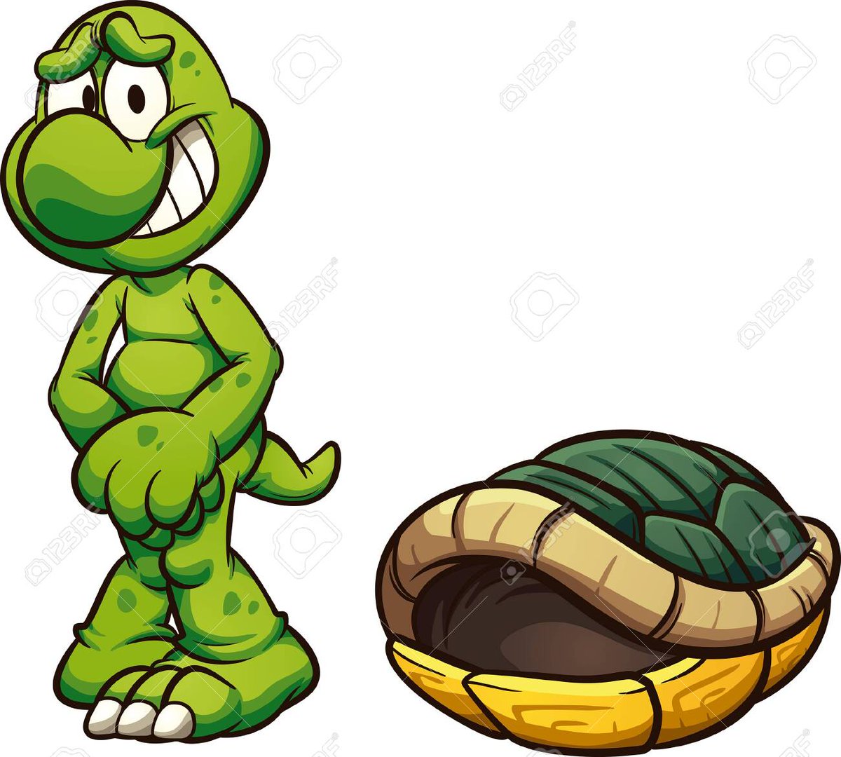 S/O to cartoons and stock image sites for ruining our collective turtle anatomy knowledge for years to come