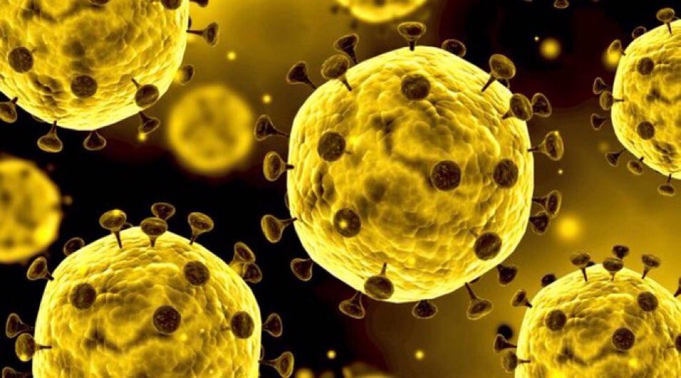 Huntychan as viruses: a thread