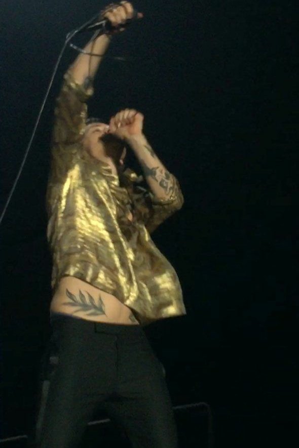 harry styles tummy appreciation thread: